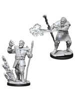 Wizkids D&D Nolzur's Marvelous Miniatures Firbolg Druid Male