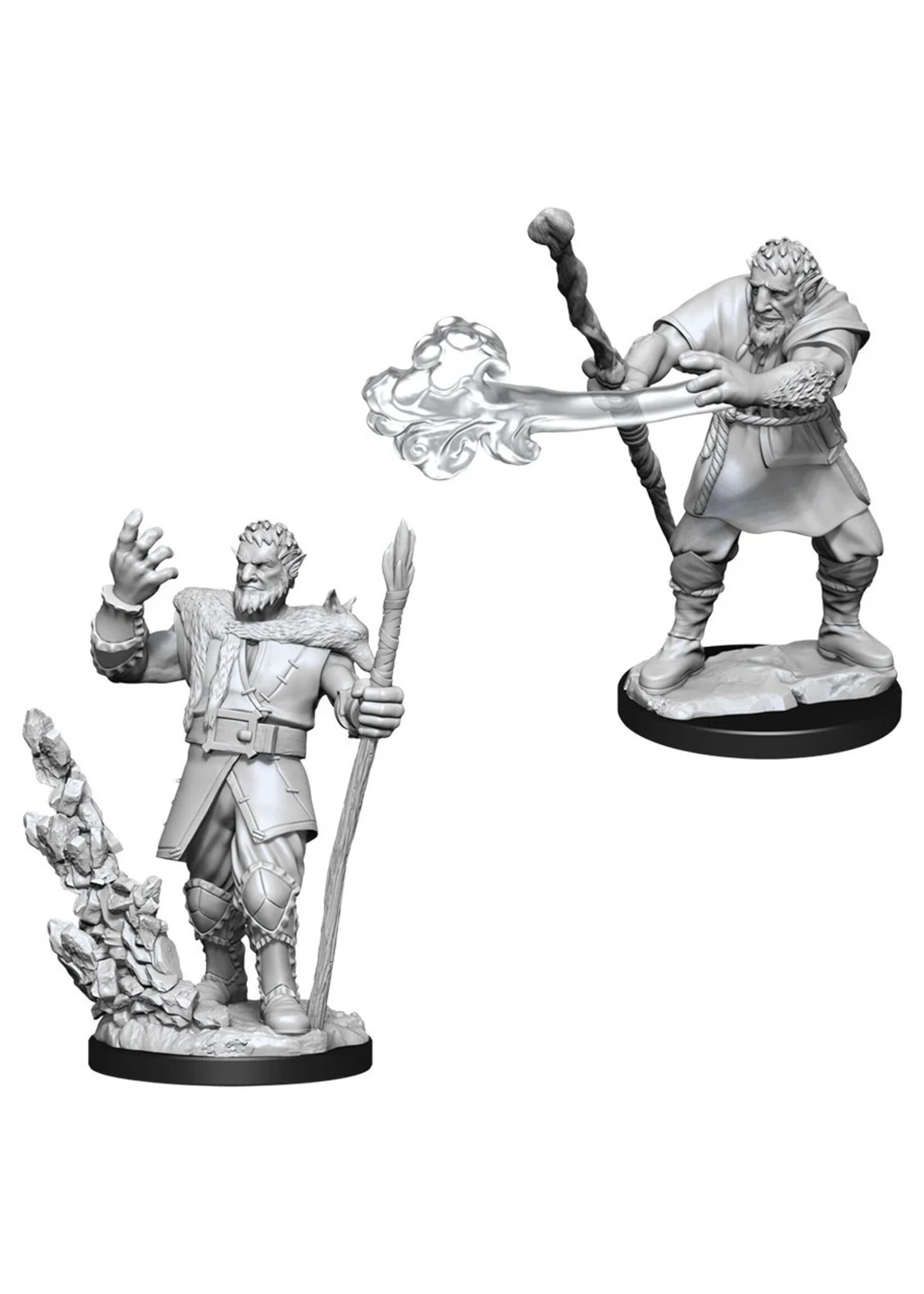 Wizkids D&D Nolzur's Marvelous Miniatures Firbolg Druid Male