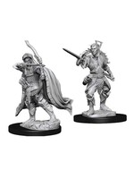 Wizkids D&D Nolzur's Marvelous Miniatures Elf Rogue Male