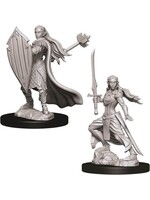 Wizkids D&D Nolzur's Marvelous Miniatures Elf Paladin Female