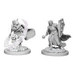 Wizkids D&D Nolzur's Marvelous Miniatures Elf Cleric Male