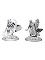 Wizkids D&D Nolzur's Marvelous Miniatures Elf Cleric Male