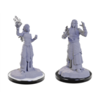 Wizkids D&D Nolzur's Marvelous Miniatures Elf Wizards