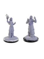 Wizkids D&D Nolzur's Marvelous Miniatures Elf Wizards