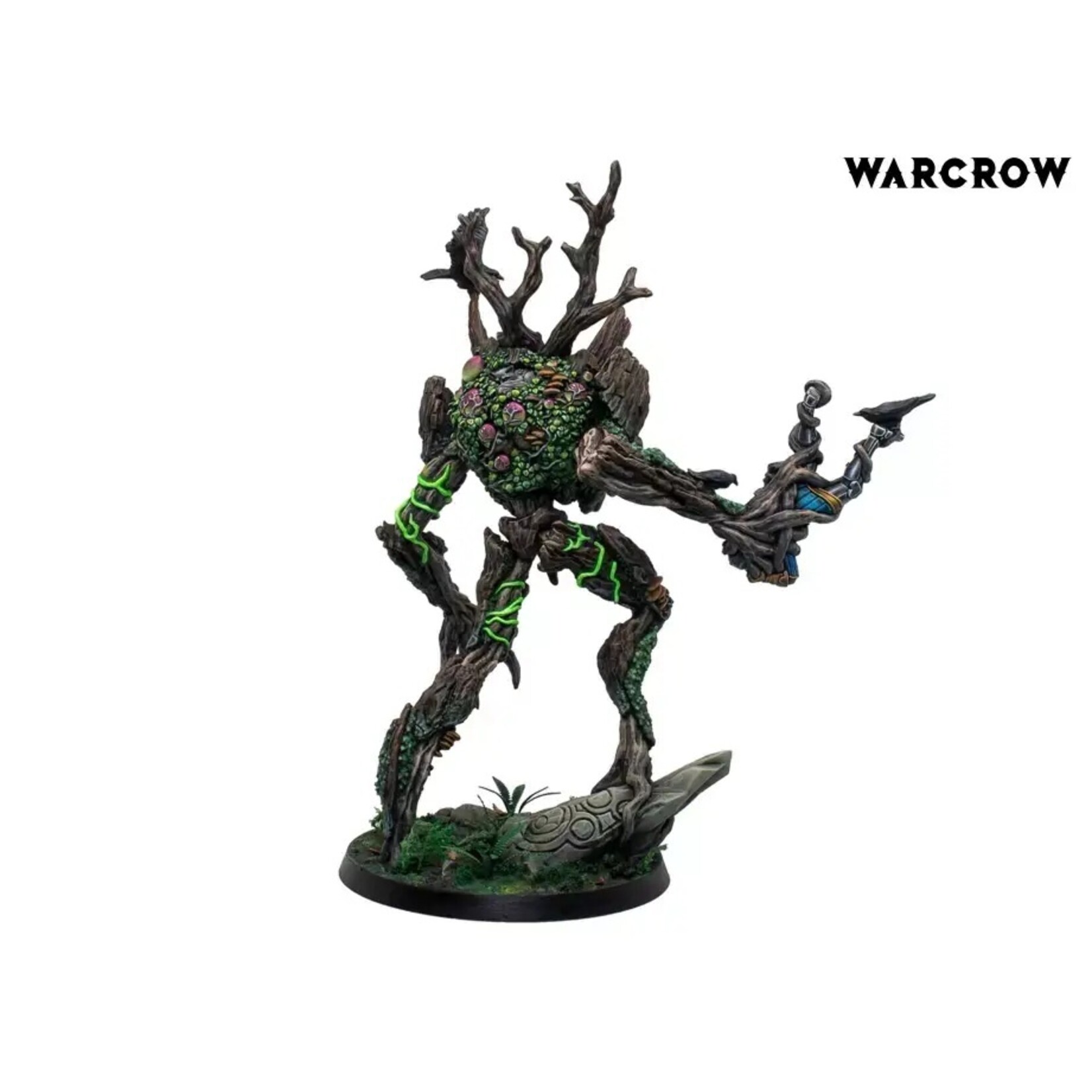 Corvus Belli Warcrow: Sÿenann Moss Hermit