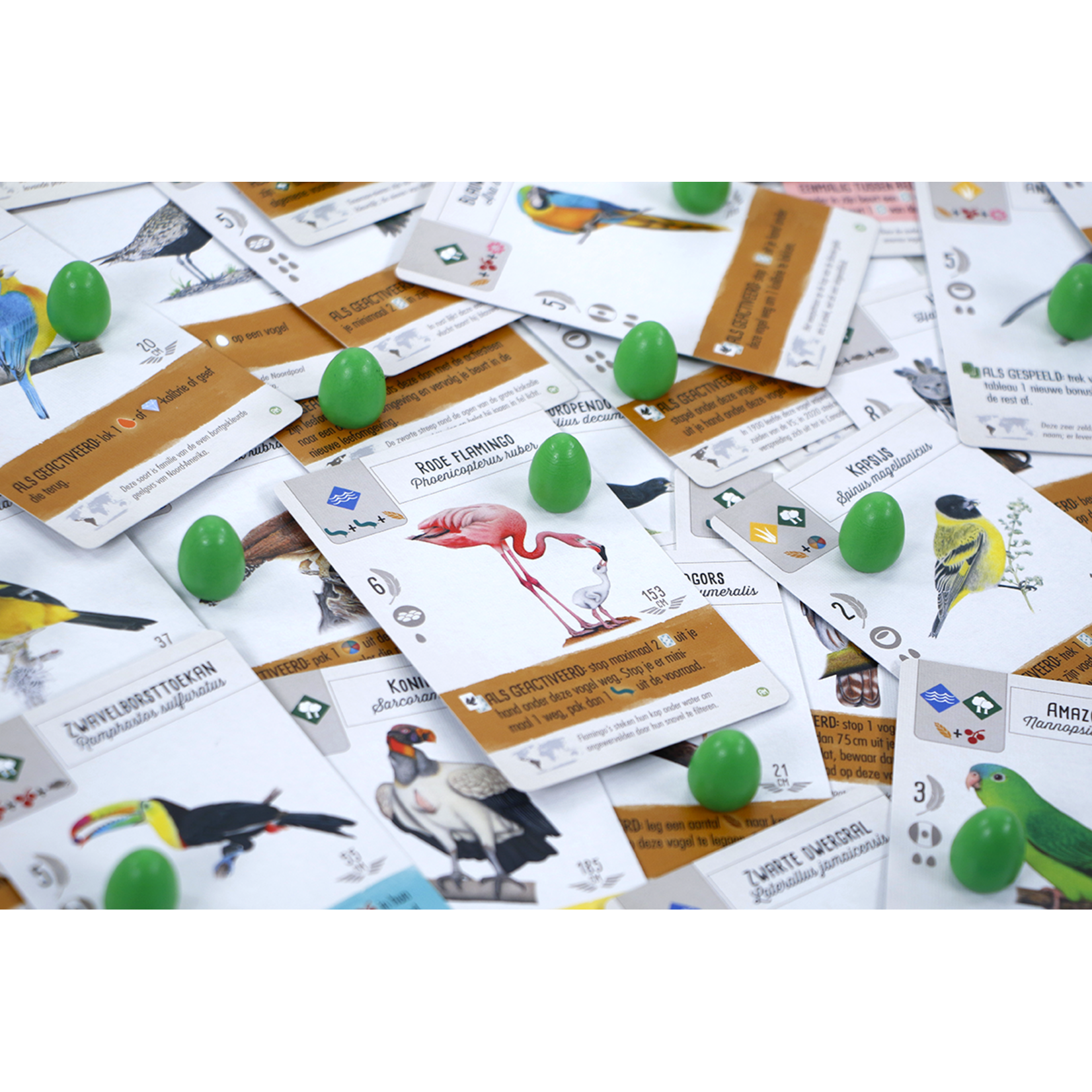 999-Games Wingspan: Midden- en Zuid-Amerika (NL)