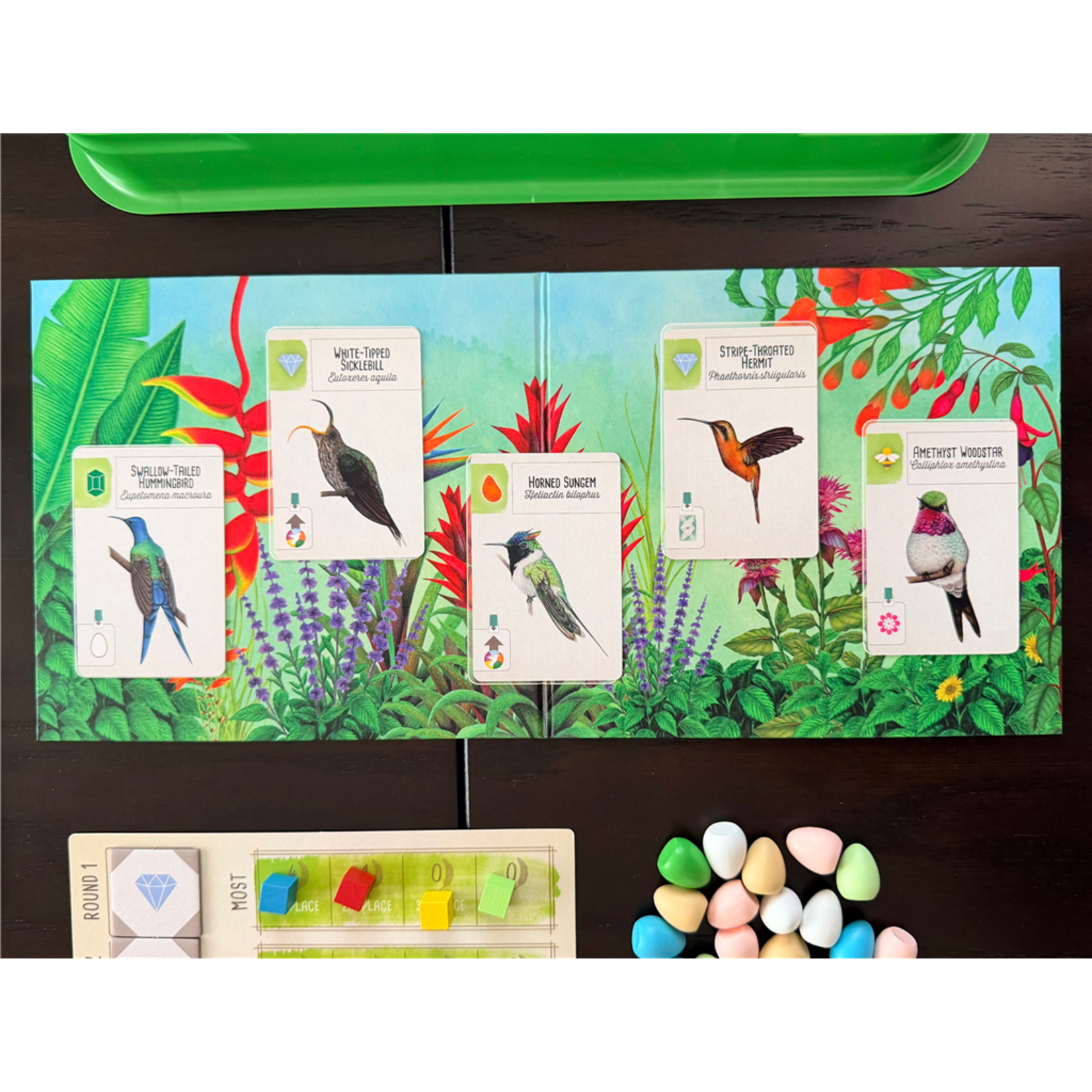 Stonemaier Games Wingspan: Americas (EN)