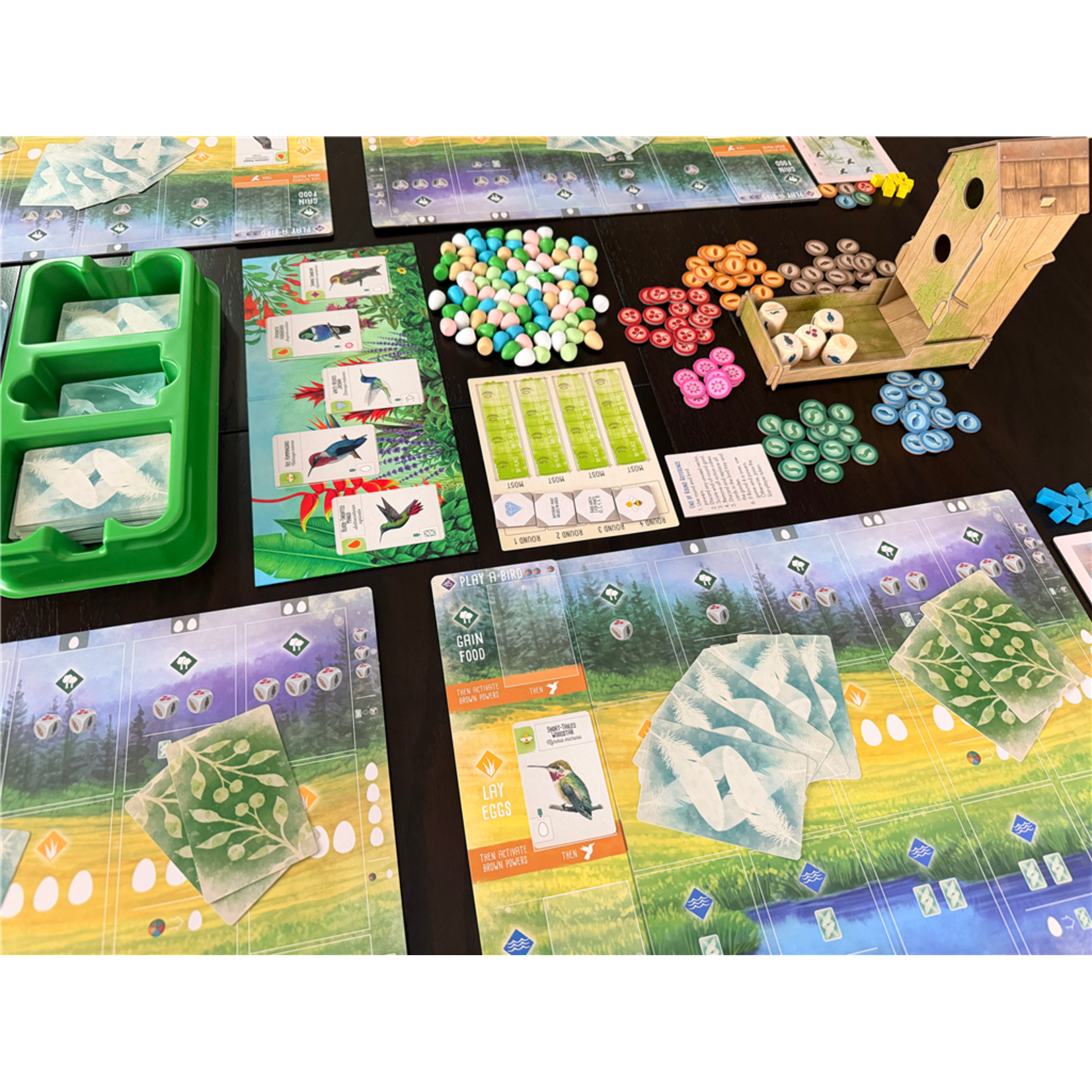 Stonemaier Games Wingspan: Americas (EN)