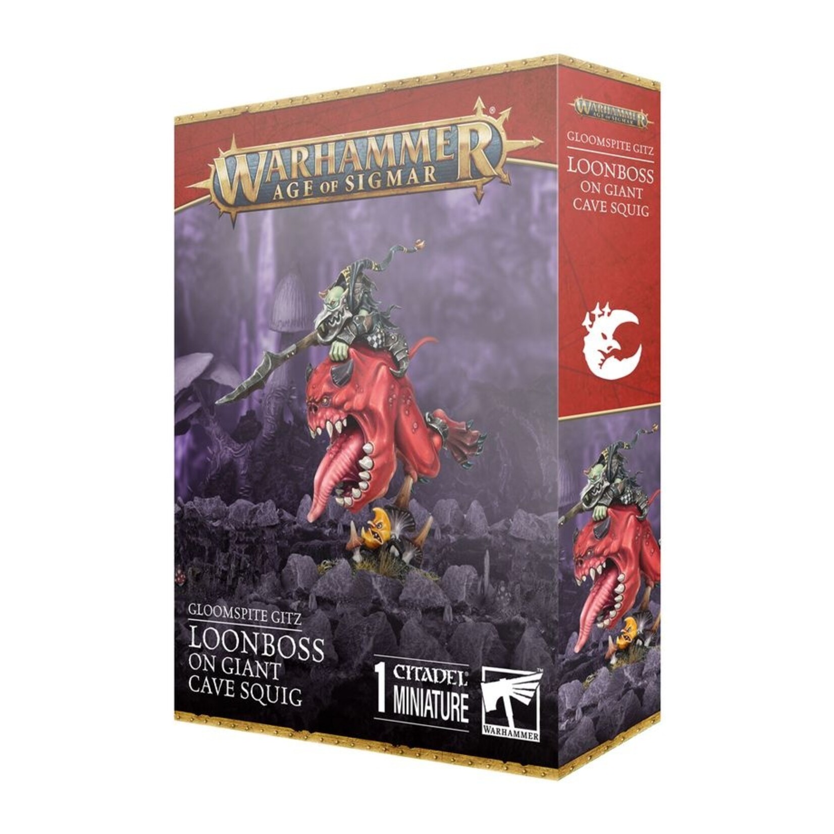 Games Workshop Gloomspite Gitz Loonboss on Giant Cave Squig
