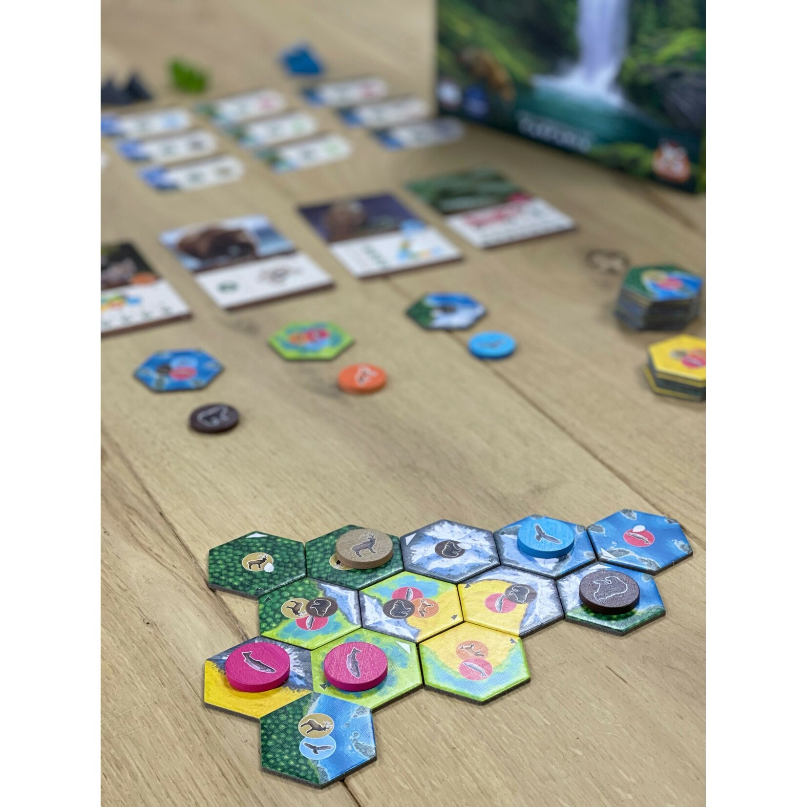 White Goblin Games Cascadia: Landmarks (NL)