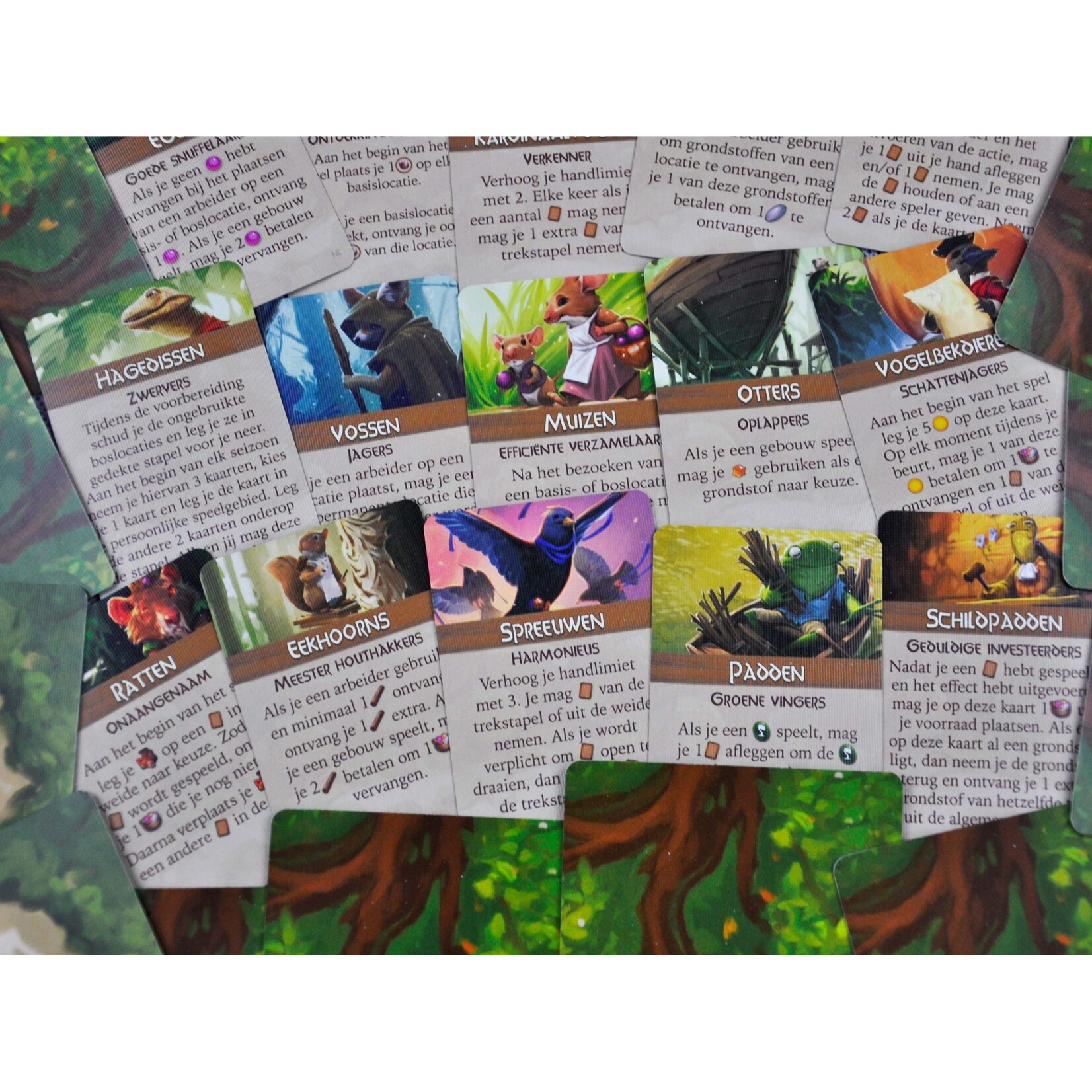 White Goblin Games Everdell: Bellfaire (NL)