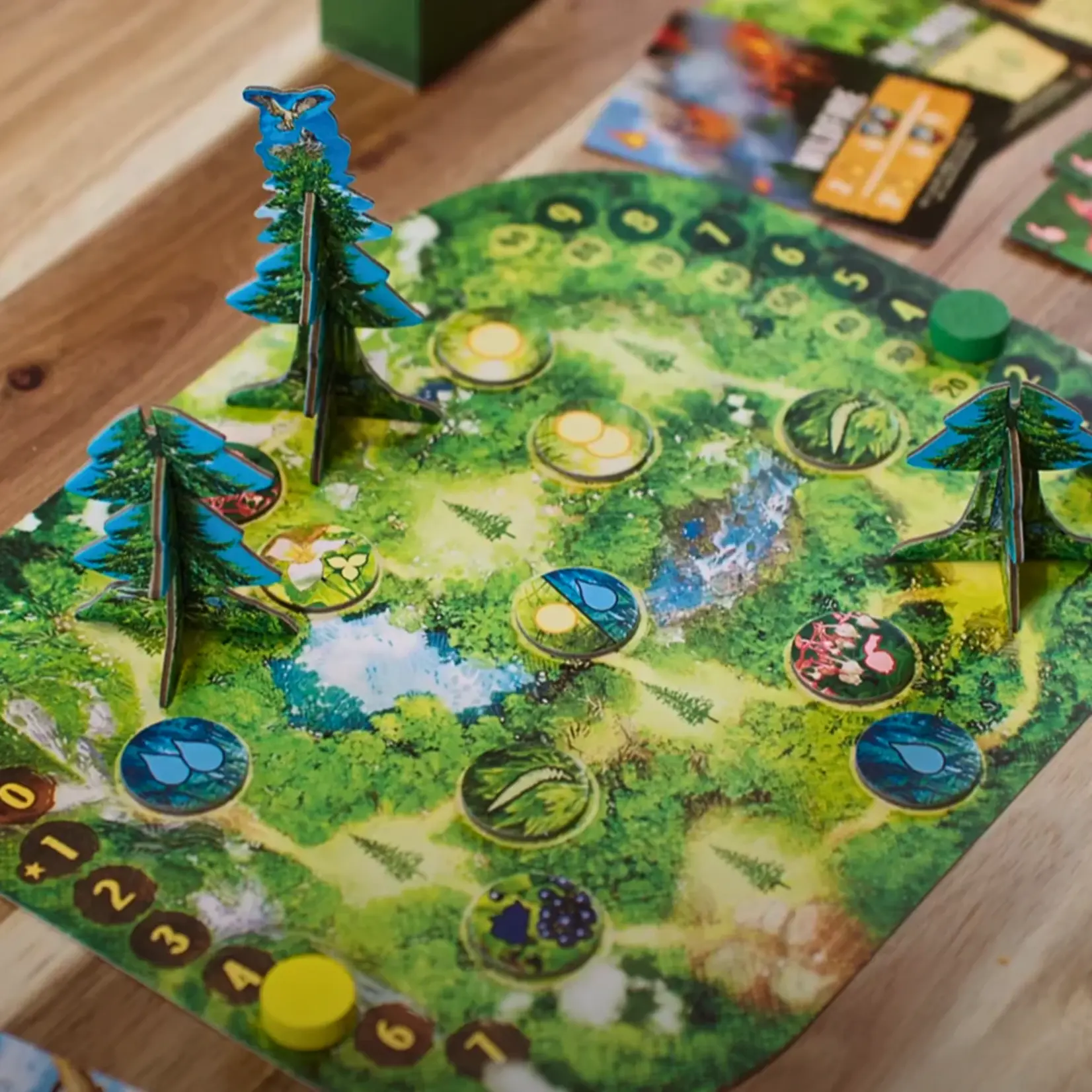 Weird City Games Canopy: Evergreen Edition (EN)