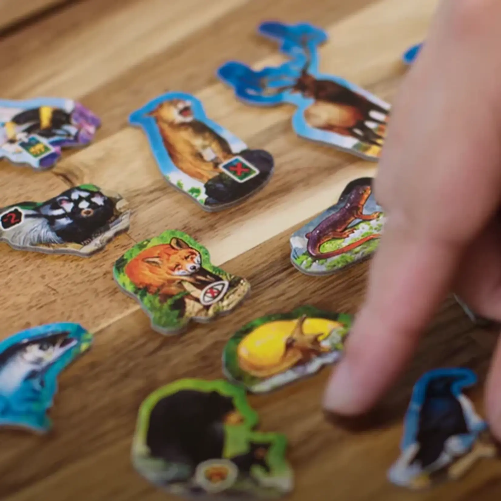 Weird City Games Canopy: Evergreen Edition (EN)