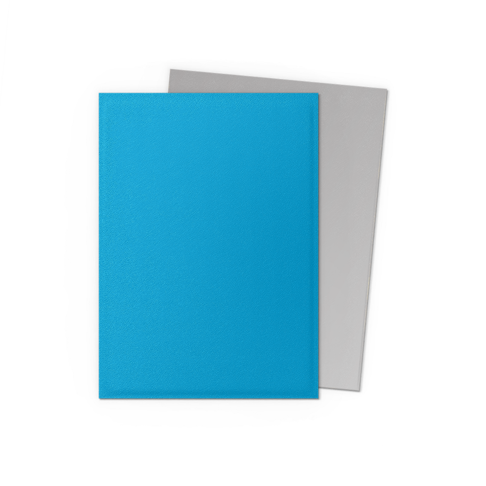 Dragonshield Dragonshield 100 Box Dual Matte Sleeves Sky Blue & Silver