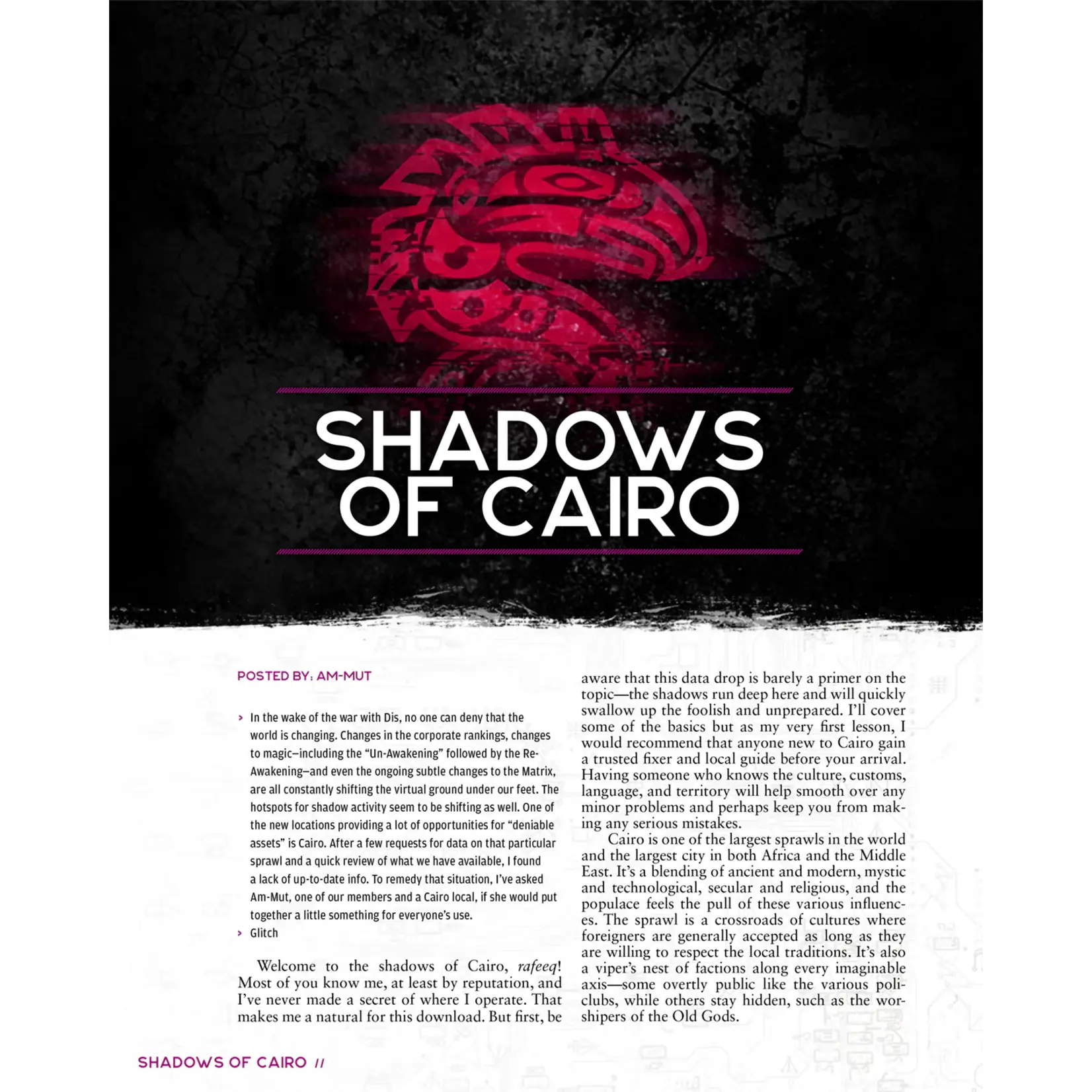 Catalyst Game Labs Shadowrun: Risks & Reward (EN)