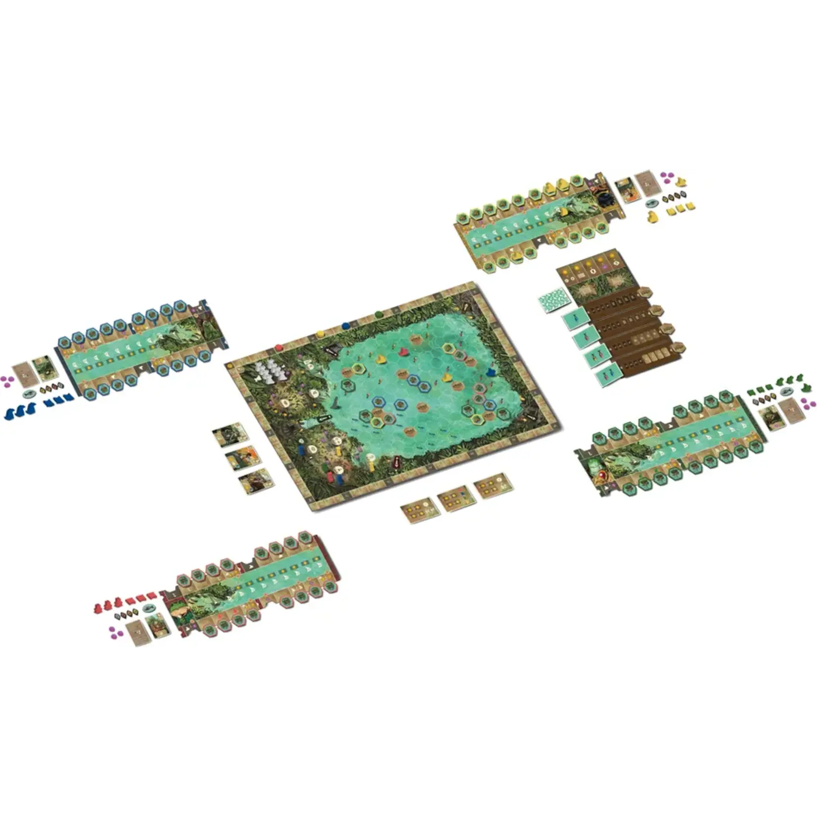 Grail Games Feya's Swamp (EN) (Pre-Order)