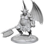 Wizkids D&D Nolzur's Marvelous Miniatures Nycaloth
