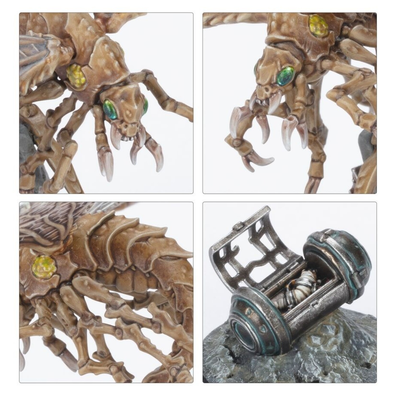 Games Workshop Necromunda Ash Wastes Nomads Ashwing Helamites