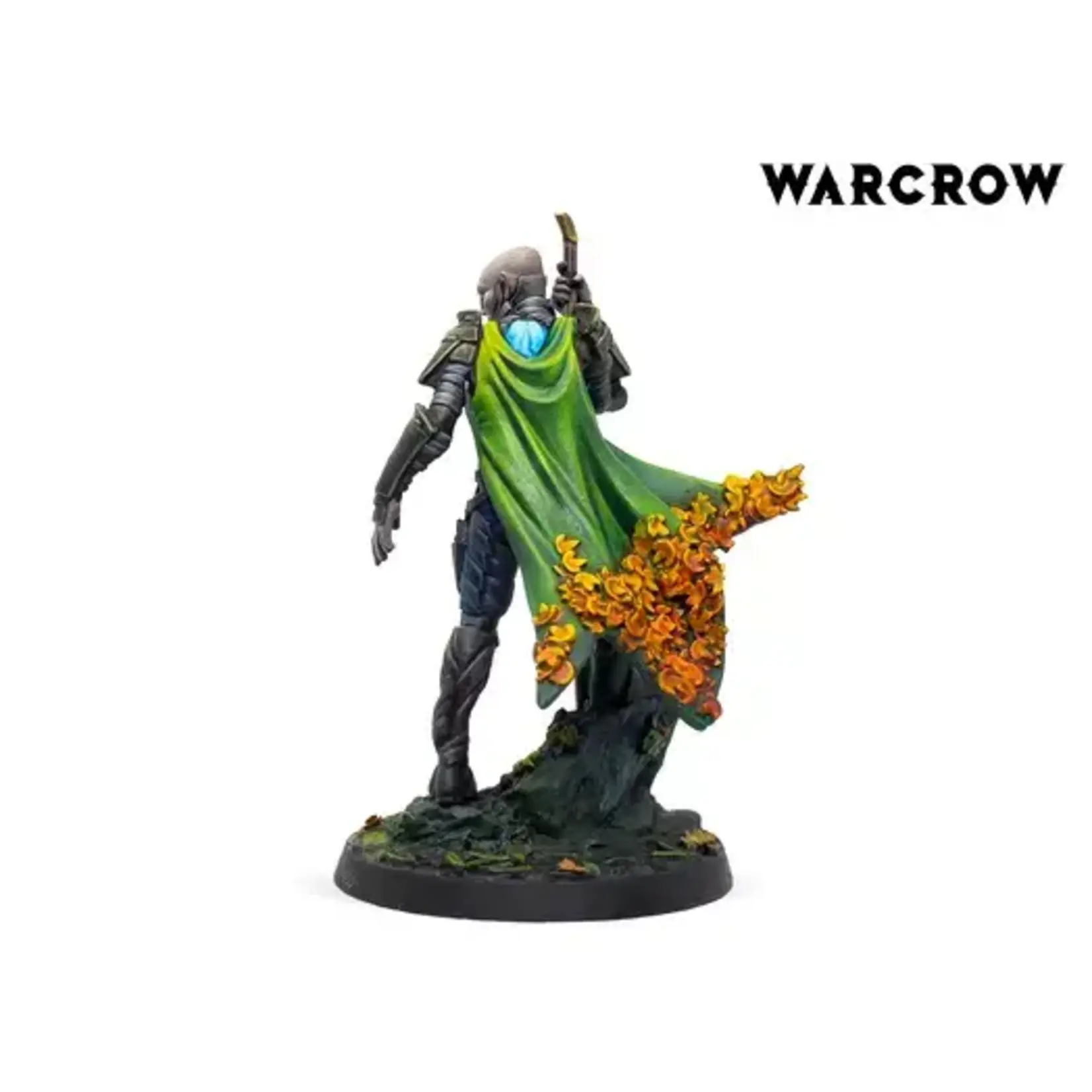 Corvus Belli Warcrow: Sÿenann Neakail Oen Fhiahra