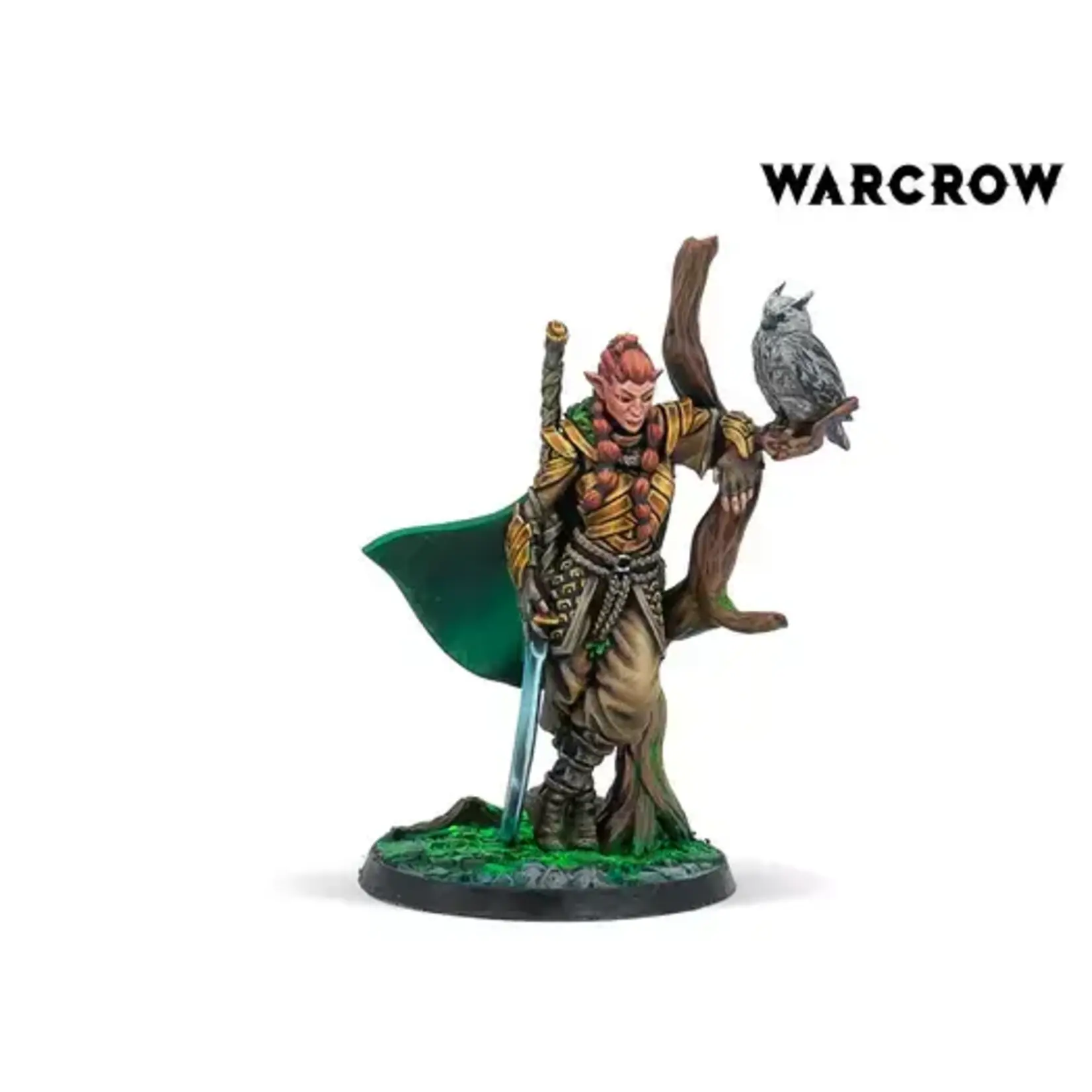 Corvus Belli Warcrow: Sÿenann Wardens