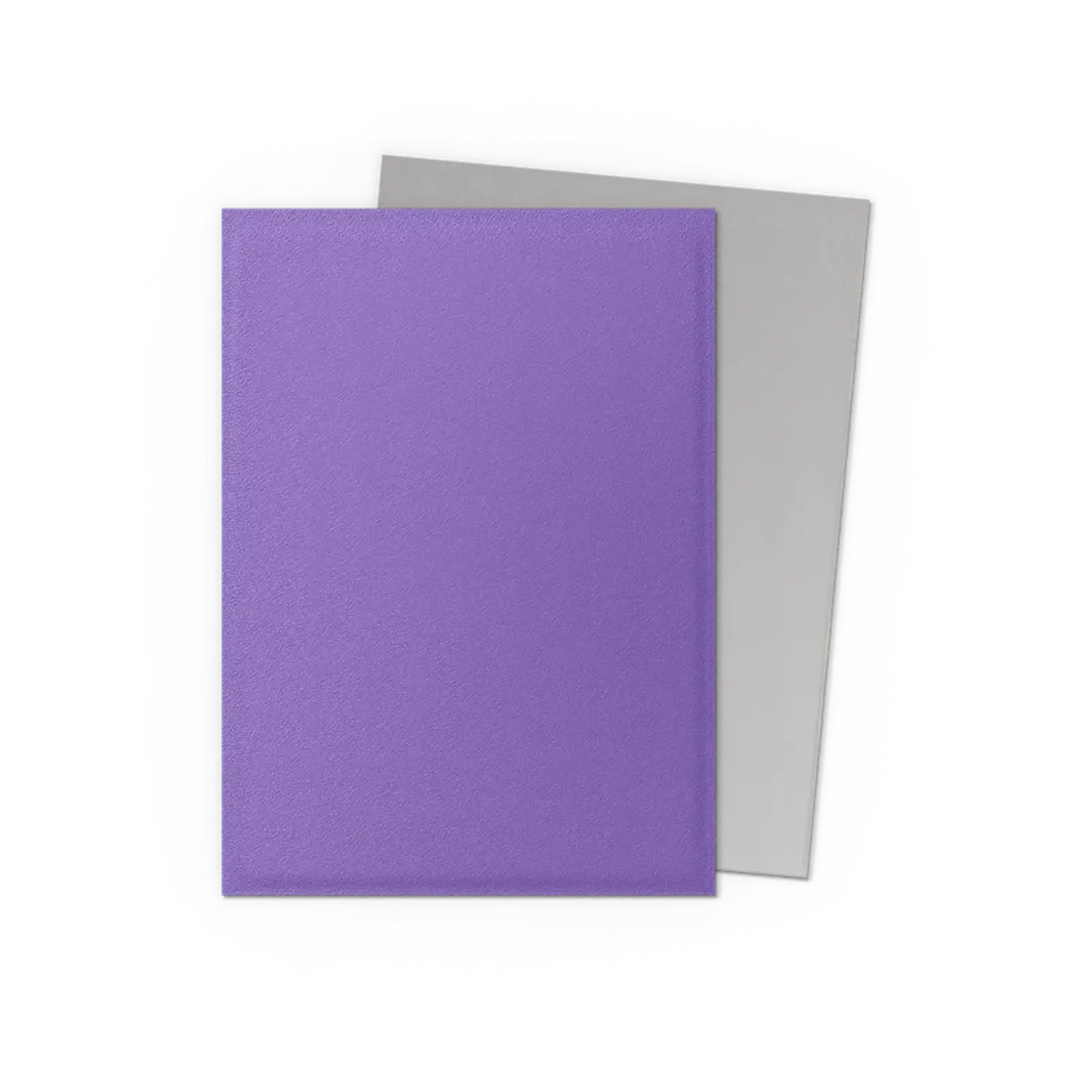 Dragonshield Dragonshield 100 Box Dual Matte Sleeves Nebula & Silver