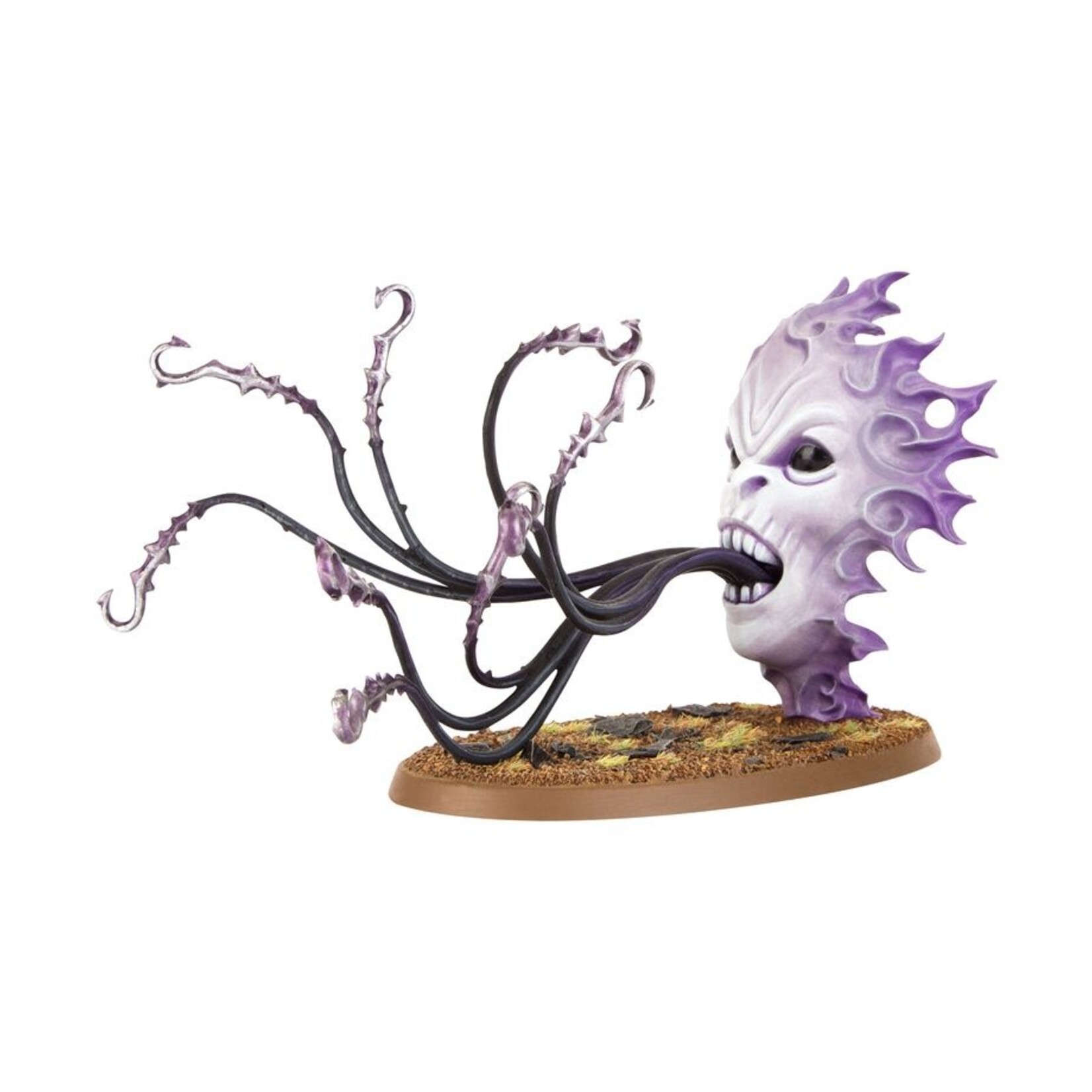 Games Workshop Hedonites of Slaanesh Accursed Reflection