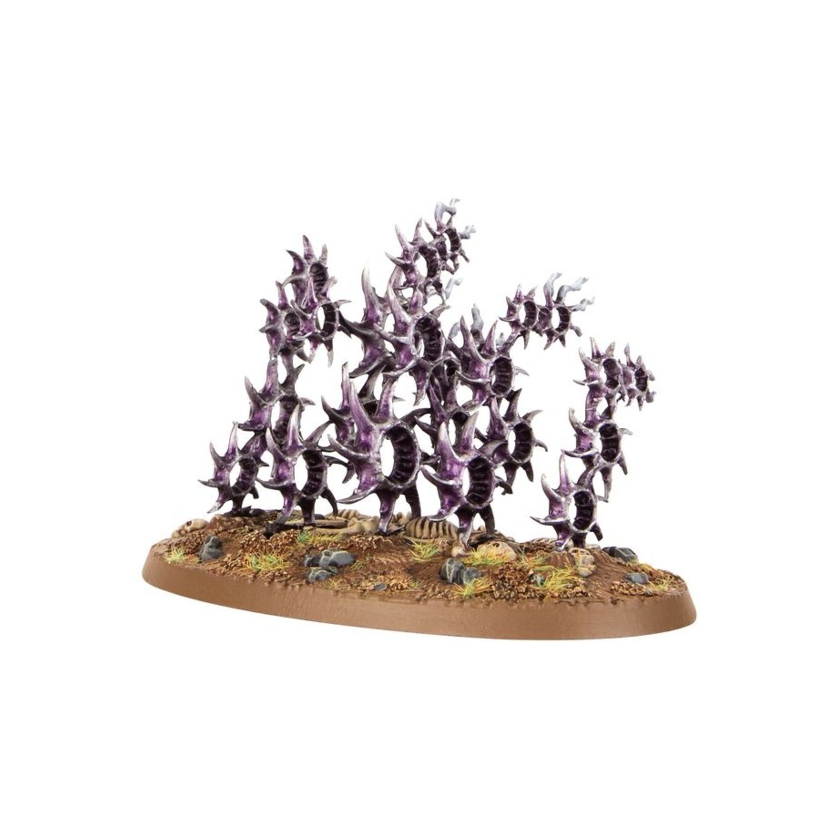 Games Workshop Hedonites of Slaanesh Accursed Reflection