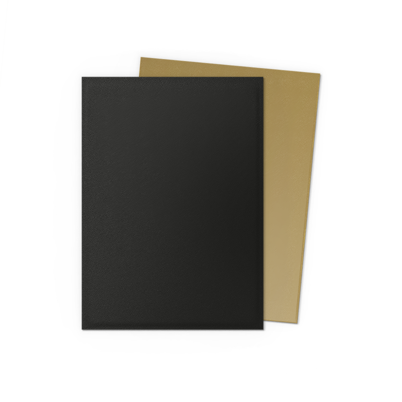 Dragonshield Dragonshield 100 Box Dual Matte Sleeves Black & Gold