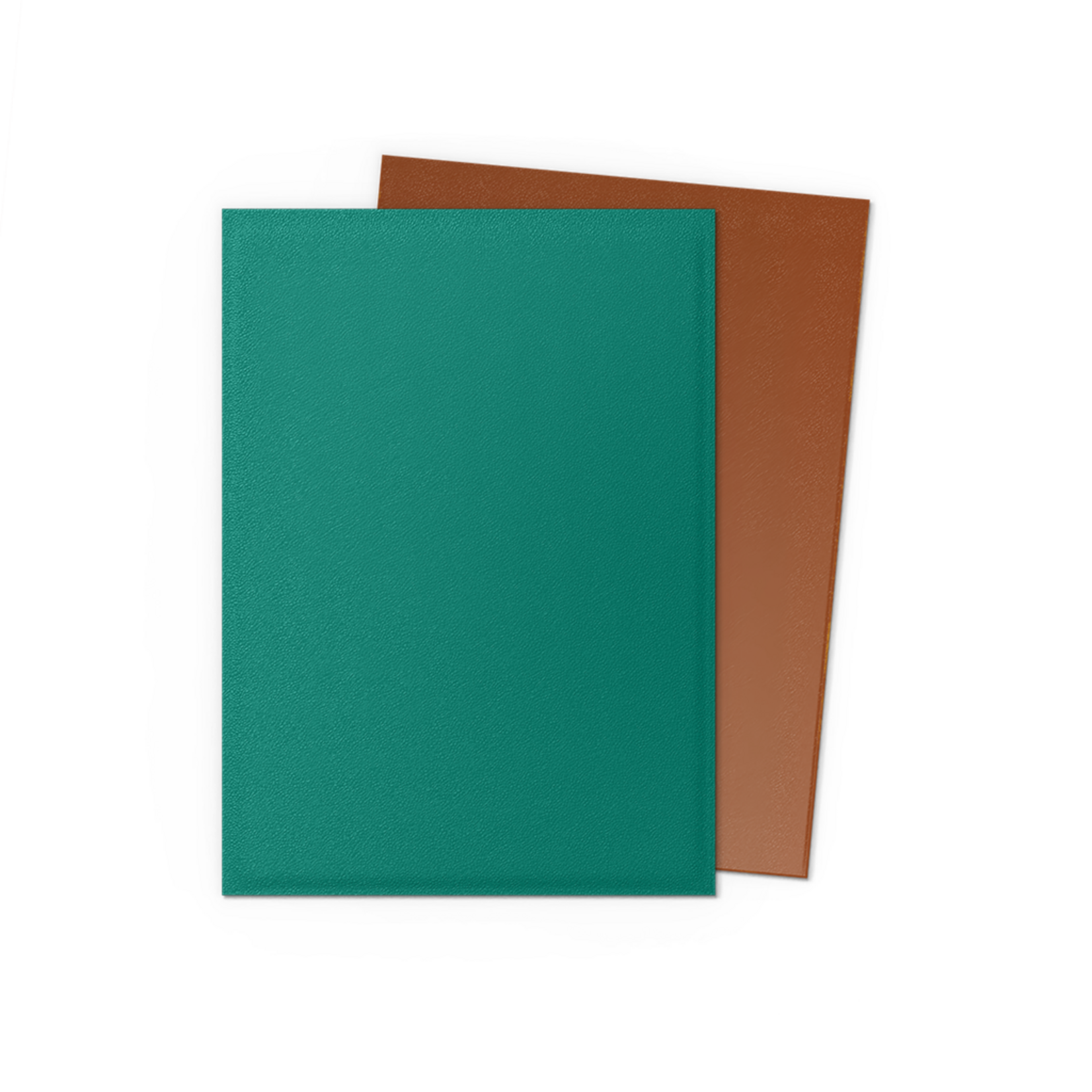 Dragonshield Dragonshield 100 Box Dual Matte Sleeves Power & Copper