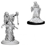 Wizkids D&D Nolzur's Marvelous Miniatures Green Hag & Night Hag