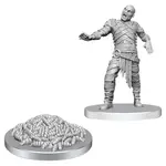 Wizkids D&D Nolzur's Marvelous Miniatures Swarm of Rot Grubs & Rot Grub Victim