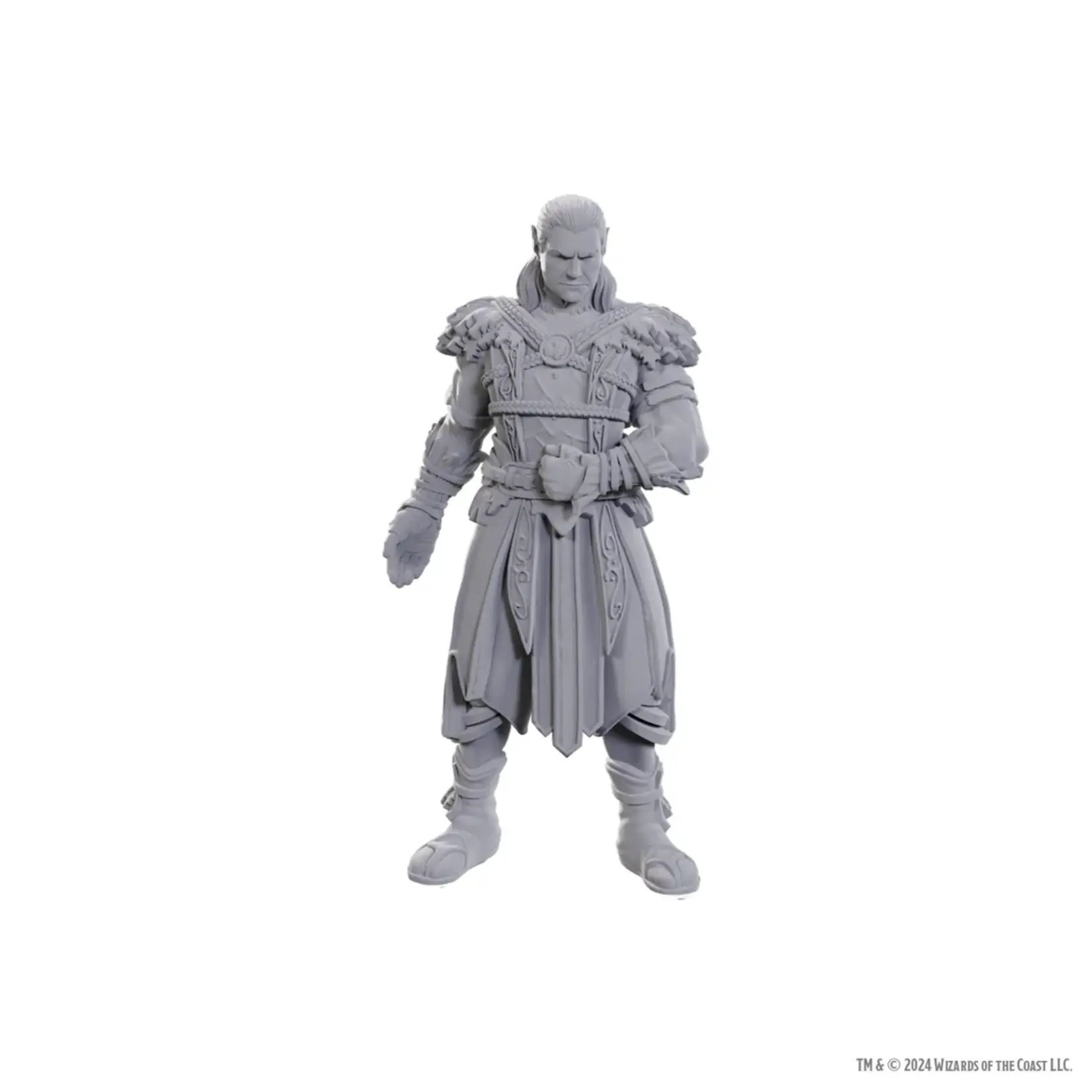 Wizkids D&D Nolzur's Baldur's Gate Jaheira & Halsin
