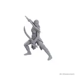 Wizkids D&D Nolzur's Baldur's Gate Jaheira & Halsin