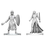 Wizkids D&D Nolzur's Marvelous Miniatures Black Gauntlet & Zhentilar Paladin of Bane