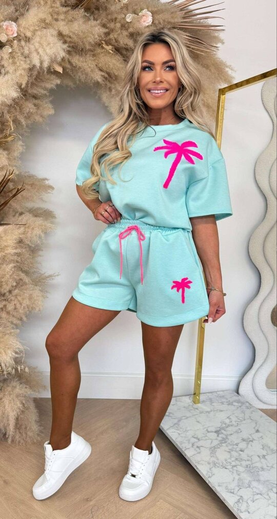 PALM SET MINT