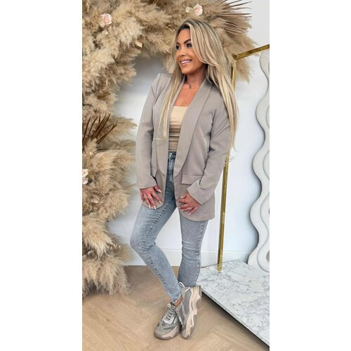 BASIC BLAZER TAUPE BASIC BLAZER TAUPE