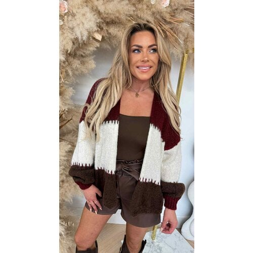 SNUGGLE ME SOFTLY CARDIGAN BORDEAUX/BROWN SNUGGLE ME SOFTLY CARDIGAN BORDEAUX/BROWN