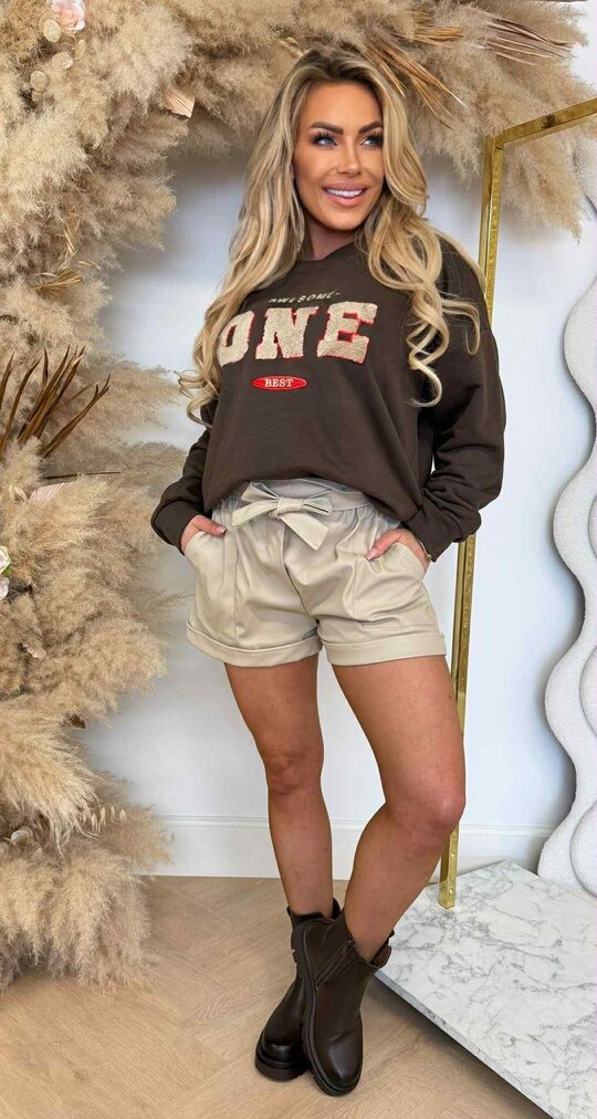 AWESOME ONE SWEATER CHOCO AWESOME ONE SWEATER CHOCO