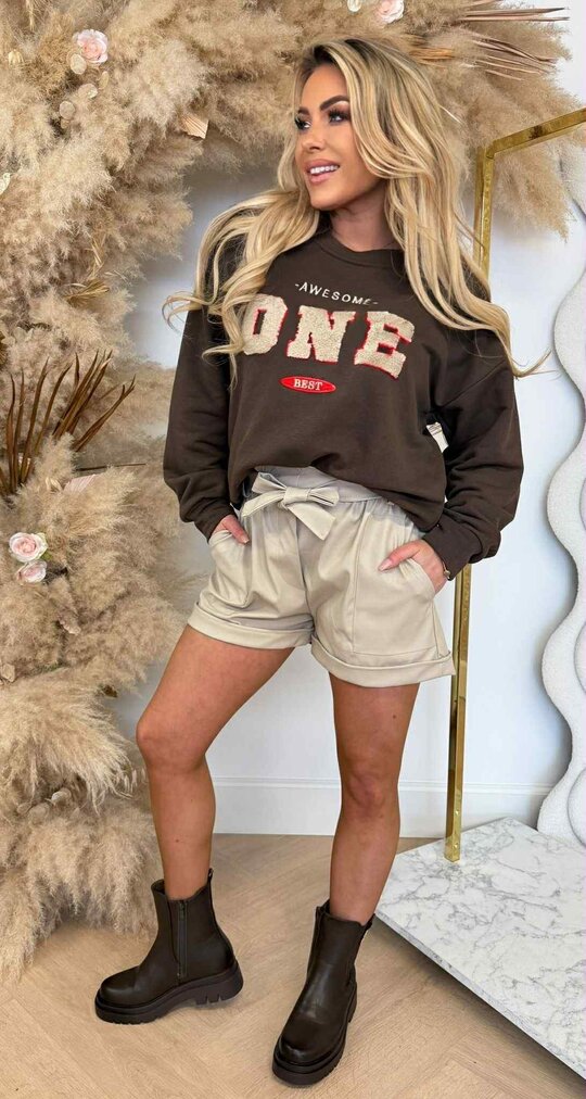 AWESOME ONE SWEATER CHOCO AWESOME ONE SWEATER CHOCO