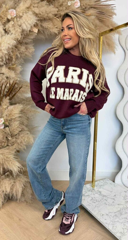 PARIS TEDDY SWEAT 829 BORDEAUX