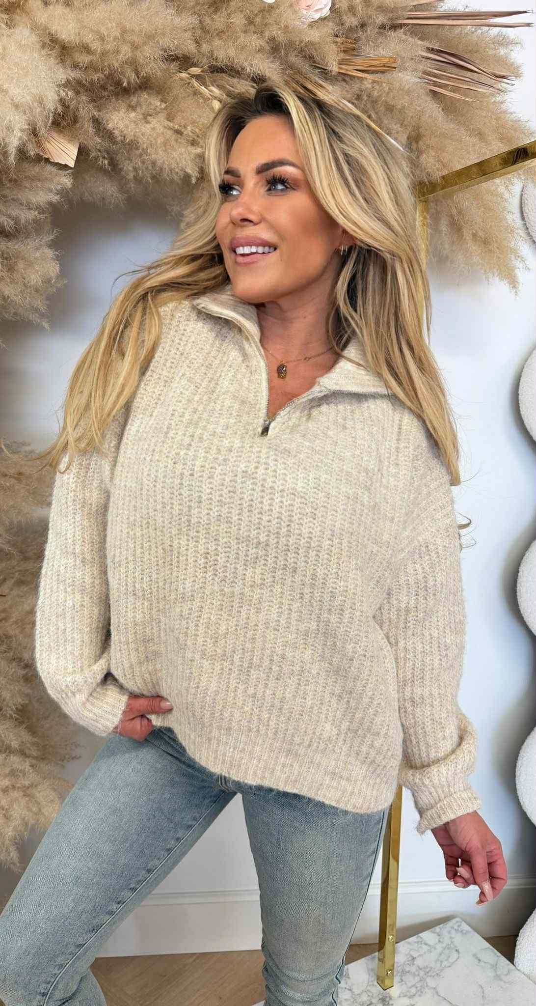 ZIP BASIC WINTER SWEAT 388122 BEIGE