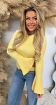 BIBI FLAIR MOUW TOP YELLOW
