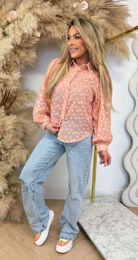 SHINY MESH BLOUSE 5429 PEACH SHINY MESH BLOUSE 5429 PEACH