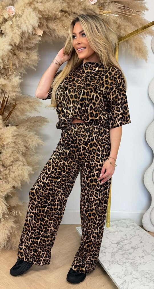 LEOPARD STRETCH SET 905 CAMEL *BIG LEO*