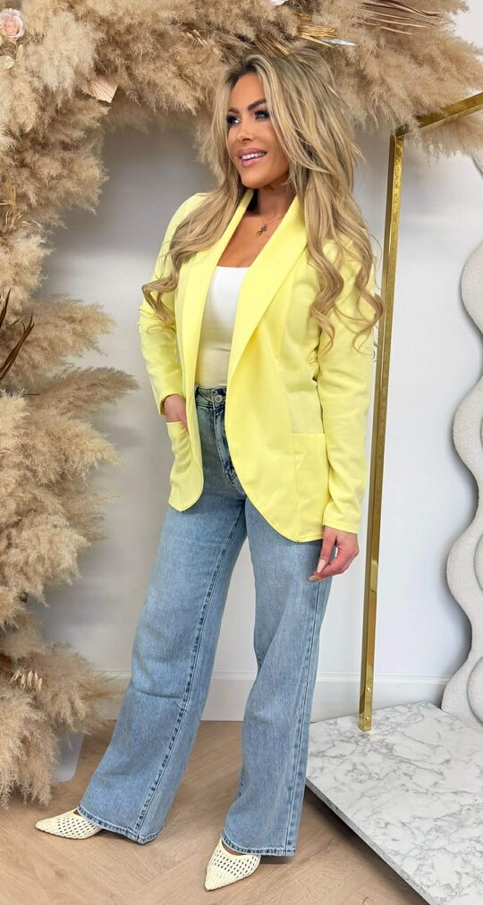 BASIC VESTJE L MOUW YELLOW