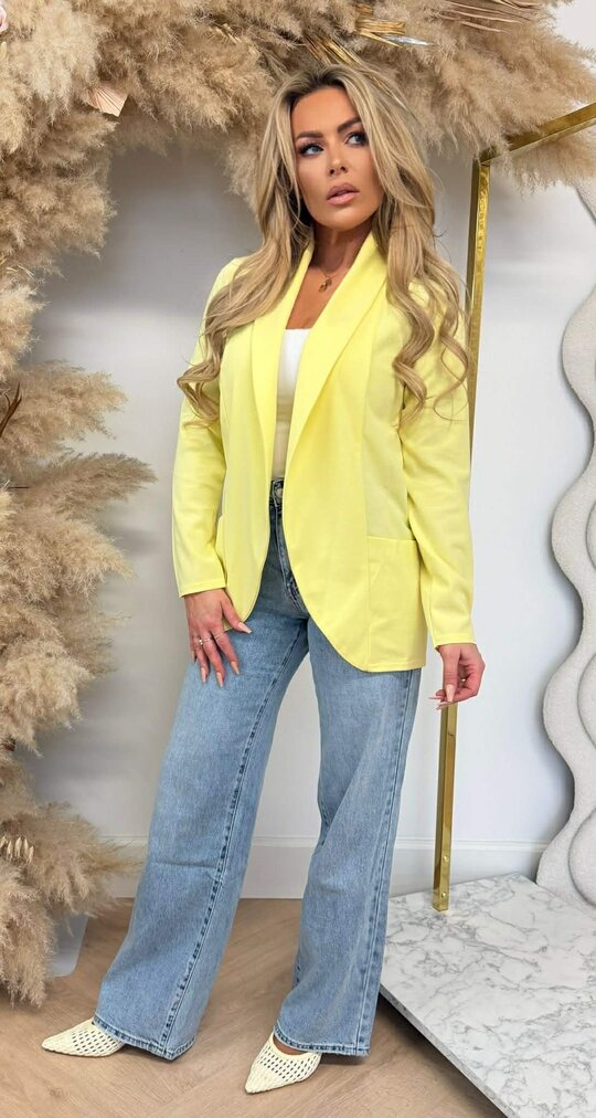 BASIC VESTJE L MOUW YELLOW