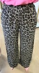 COTTON LEOPARD PANTS TAUPE