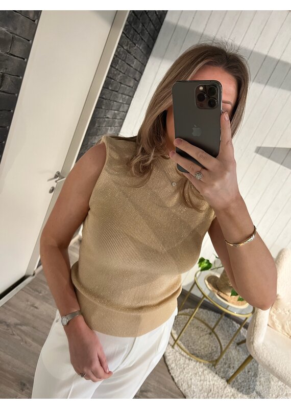 Florence Basic Top - Goud/Lurex