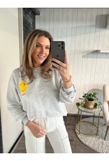 Grey sweater why not - Grijs (PRE ORDER)