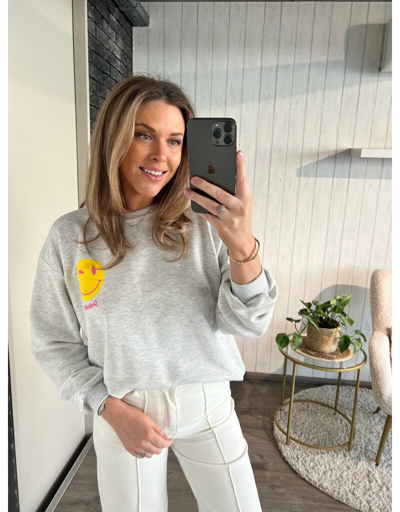 Grey sweater why not - Grijs (PRE ORDER)